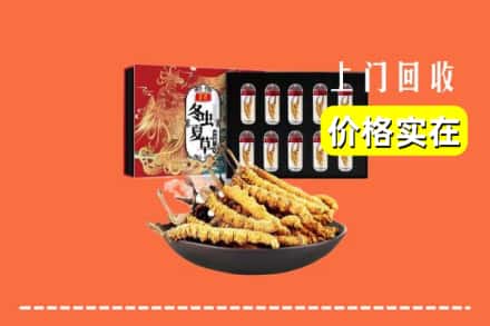 焦作市武陟回收冬虫夏草